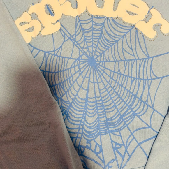 Blue Spider hoodie Web Men's Sweater